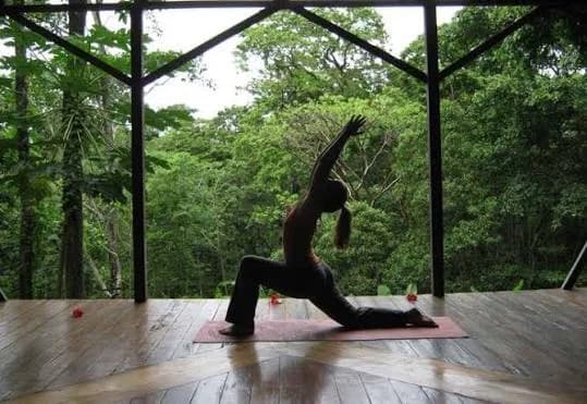 Espace de yoga couvert, ouvert sur la jungle